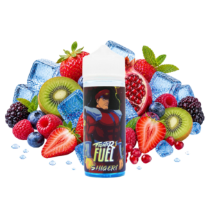 model fighter fuel [shortfill 100 ml] by maison fuel (copie)