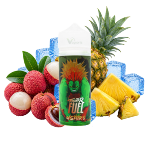 model fighter fuel [shortfill 100 ml] by maison fuel (copie)